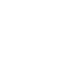 Workflow Logo weiß